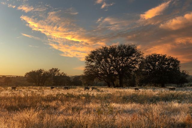 302 N Shore Drive, Brady, TX 76825