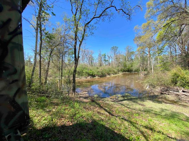 11077 Lawrence Rd, Hammond, LA 70403
