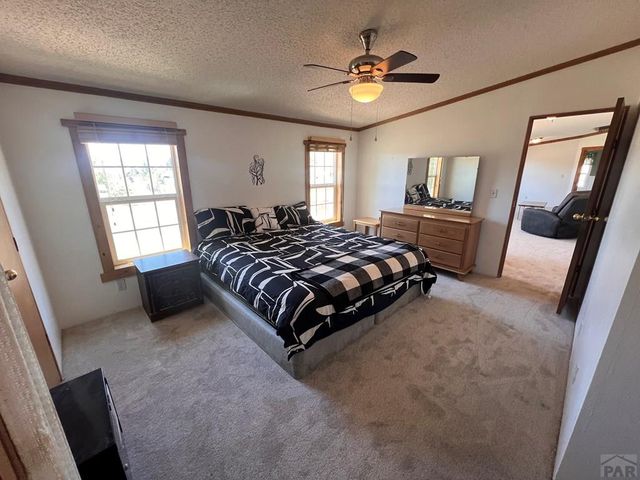 7937 Mount Baldy Dr, Rye, CO 81069
