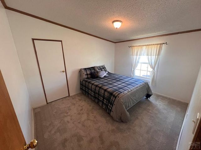 7937 Mount Baldy Dr, Rye, CO 81069