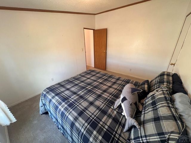 7937 Mount Baldy Dr, Rye, CO 81069