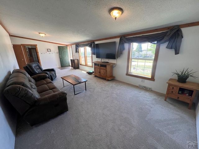 7937 Mount Baldy Dr, Rye, CO 81069