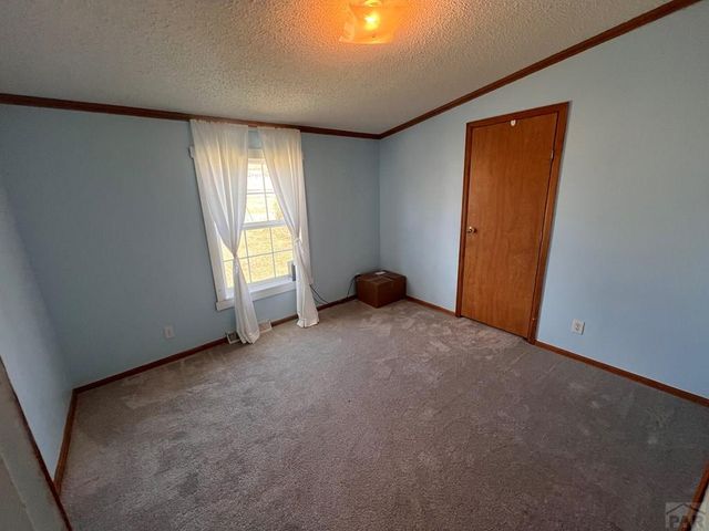 7937 Mount Baldy Dr, Rye, CO 81069
