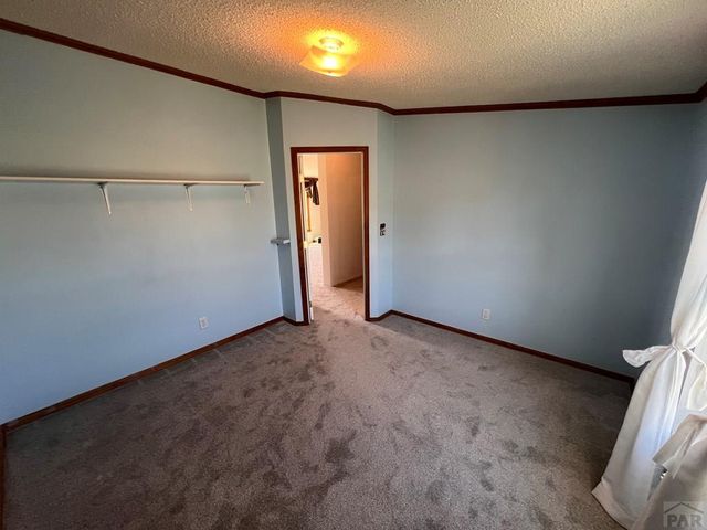 7937 Mount Baldy Dr, Rye, CO 81069