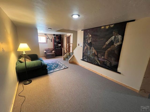 7937 Mount Baldy Dr, Rye, CO 81069