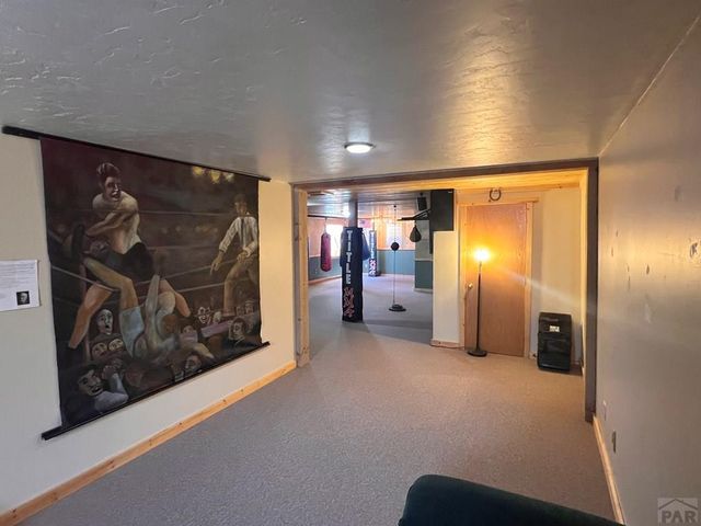 7937 Mount Baldy Dr, Rye, CO 81069