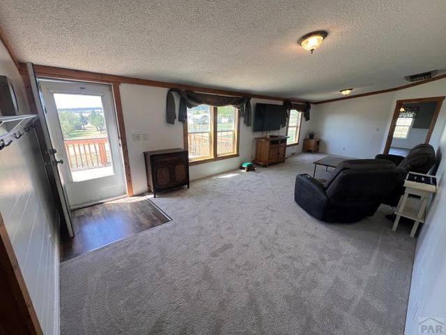 7937 Mount Baldy Dr, Rye, CO 81069