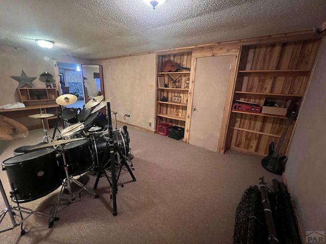 7937 Mount Baldy Dr, Rye, CO 81069