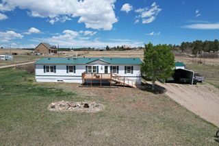 7937 Mount Baldy Dr, Rye, CO 81069