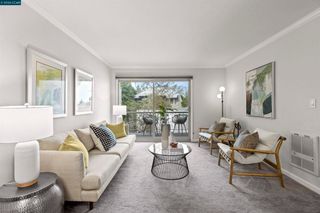 590 El Dorado Ave 214, Oakland, CA 94611