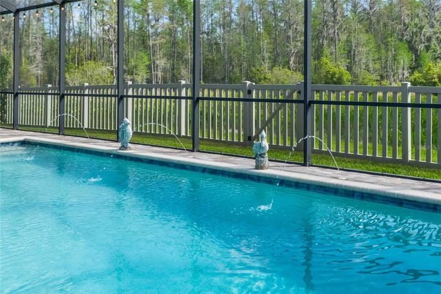 8306 BLUEVINE SKY DRIVE, Land O Lakes, FL 34637