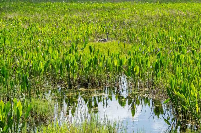 8306 BLUEVINE SKY DRIVE, Land O Lakes, FL 34637