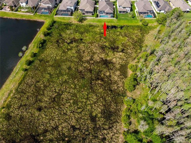8306 BLUEVINE SKY DRIVE, Land O Lakes, FL 34637