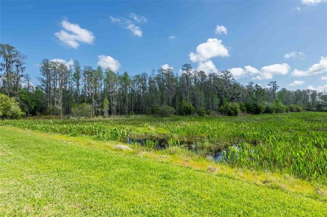 8306 BLUEVINE SKY DRIVE, Land O Lakes, FL 34637