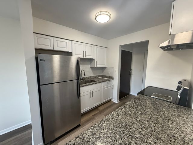 2310 N Harlem Avenue 203, Elmwood Park, IL 60707