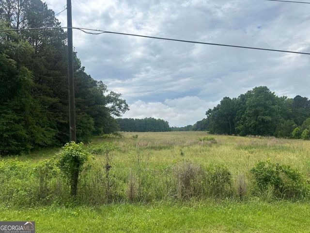 19.6 ACRES Grant Road, Fayetteville, GA 30215