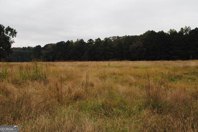 19.6 ACRES Grant Road, Fayetteville, GA 30215