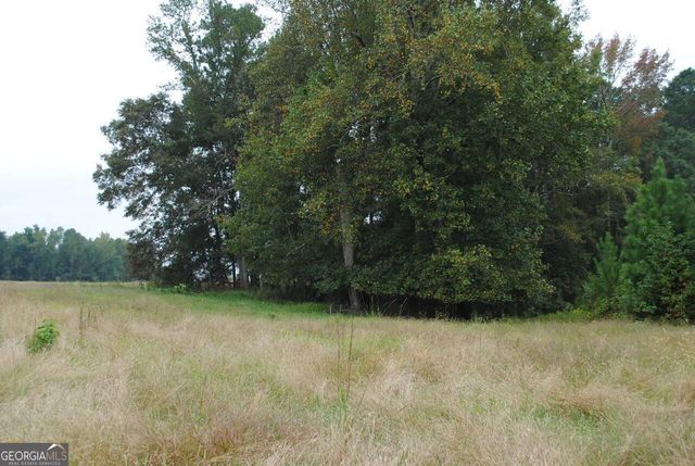 19.6 ACRES Grant Road, Fayetteville, GA 30215