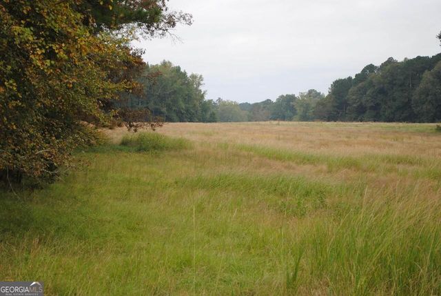 19.6 ACRES Grant Road, Fayetteville, GA 30215