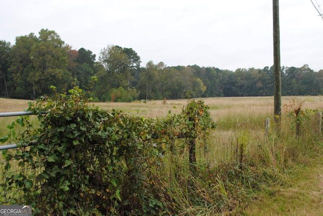 19.6 ACRES Grant Road, Fayetteville, GA 30215
