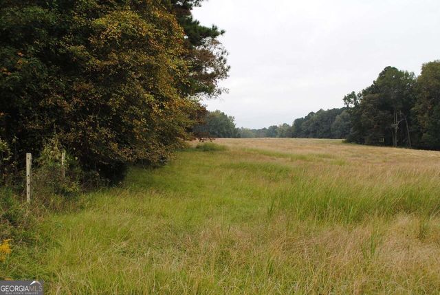 19.6 ACRES Grant Road, Fayetteville, GA 30215
