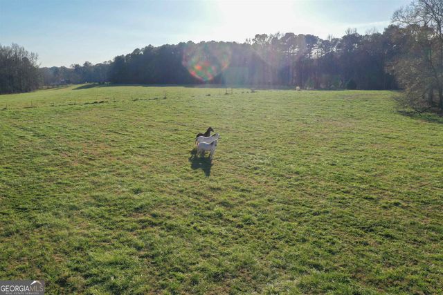 19.6 ACRES Grant Road, Fayetteville, GA 30215