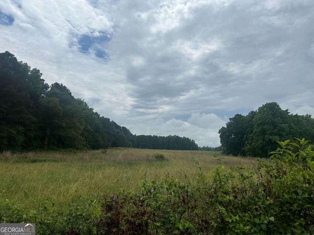 19.6 ACRES Grant Road, Fayetteville, GA 30215