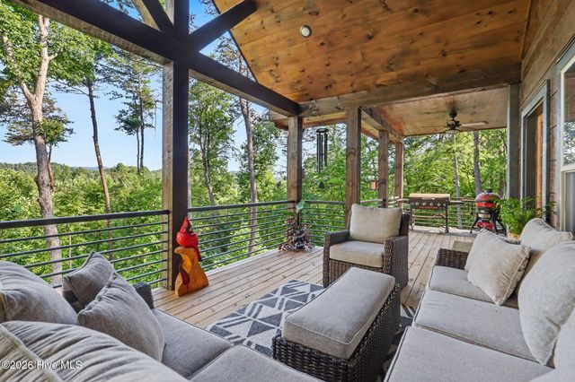 240 Pink Pig Lane, Cherry Log, GA 30522