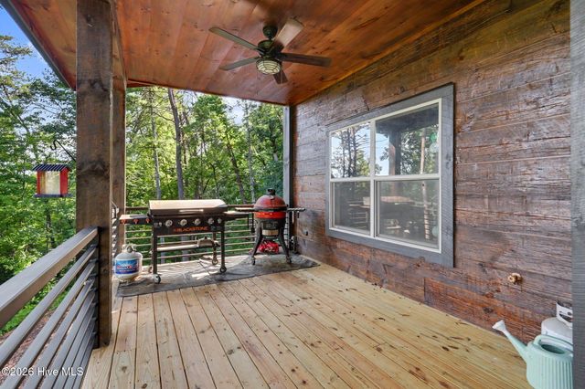 240 Pink Pig Lane, Cherry Log, GA 30522