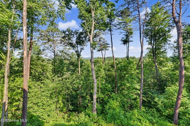 240 Pink Pig Lane, Cherry Log, GA 30522
