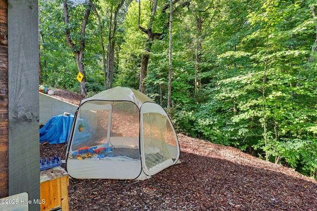240 Pink Pig Lane, Cherry Log, GA 30522