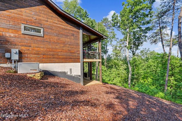 240 Pink Pig Lane, Cherry Log, GA 30522