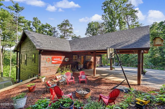 240 Pink Pig Lane, Cherry Log, GA 30522
