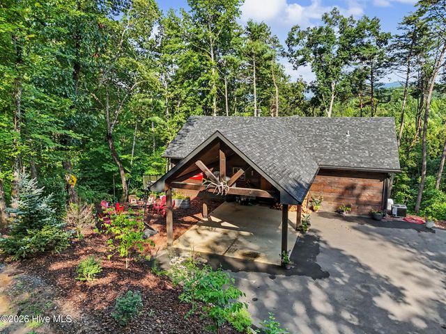 240 Pink Pig Lane, Cherry Log, GA 30522
