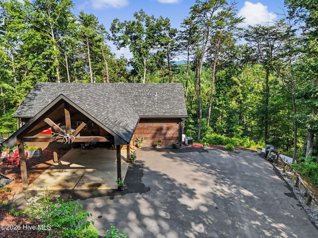 240 Pink Pig Lane, Cherry Log, GA 30522