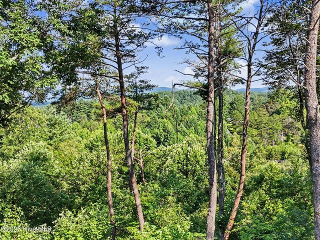 240 Pink Pig Lane, Cherry Log, GA 30522