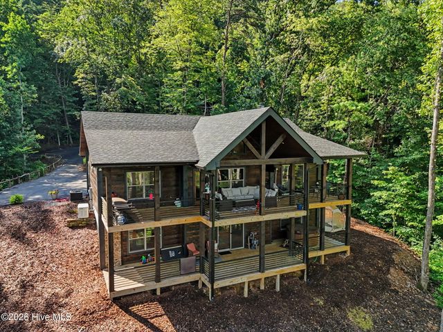 240 Pink Pig Lane, Cherry Log, GA 30522