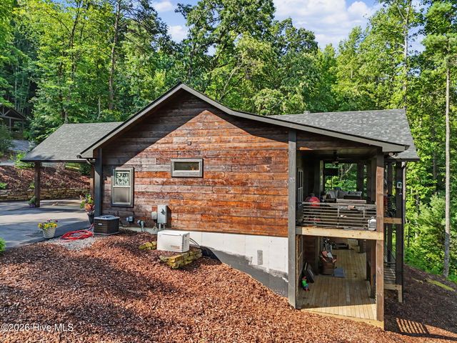 240 Pink Pig Lane, Cherry Log, GA 30522