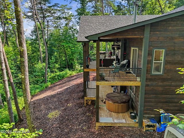 240 Pink Pig Lane, Cherry Log, GA 30522