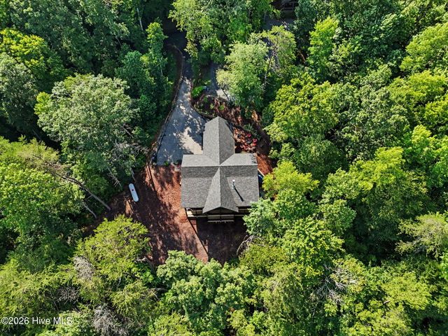 240 Pink Pig Lane, Cherry Log, GA 30522
