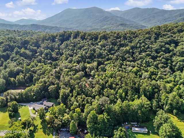 240 Pink Pig Lane, Cherry Log, GA 30522