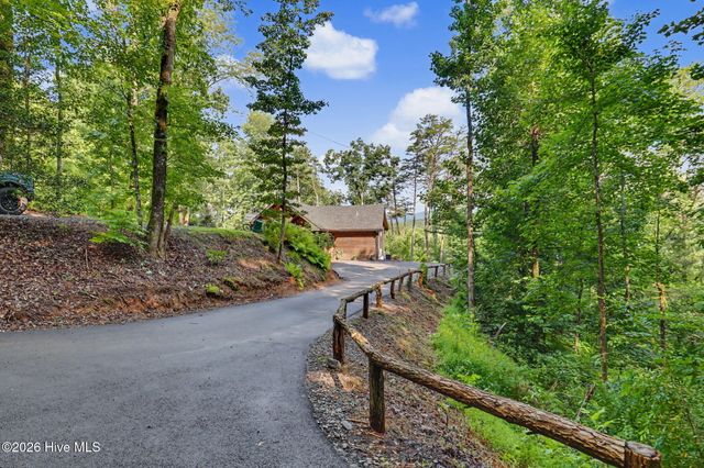 240 Pink Pig Lane, Cherry Log, GA 30522