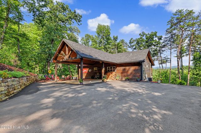 240 Pink Pig Lane, Cherry Log, GA 30522