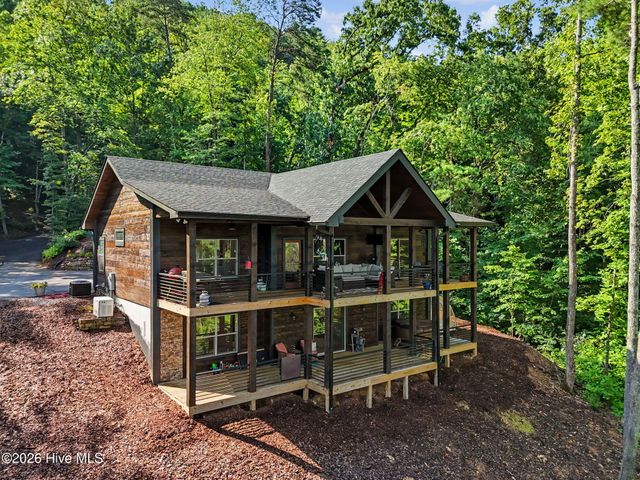 240 Pink Pig Lane, Cherry Log, GA 30522