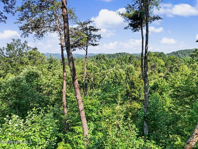 240 Pink Pig Lane, Cherry Log, GA 30522