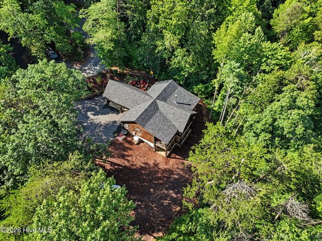 240 Pink Pig Lane, Cherry Log, GA 30522