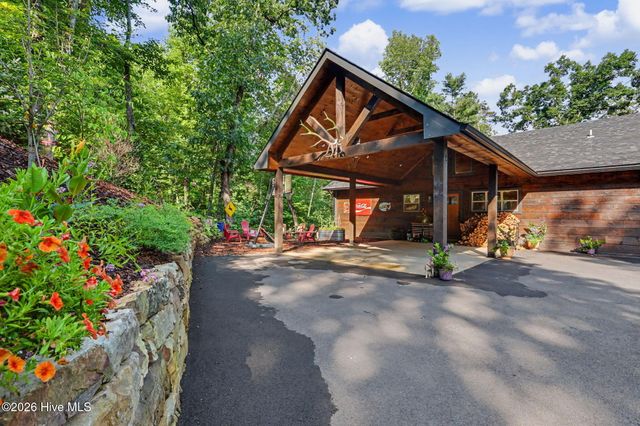 240 Pink Pig Lane, Cherry Log, GA 30522