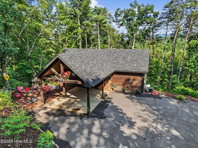 240 Pink Pig Lane, Cherry Log, GA 30522