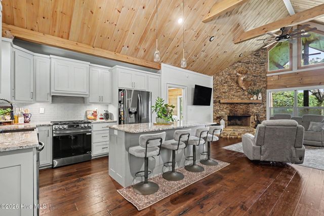 240 Pink Pig Lane, Cherry Log, GA 30522