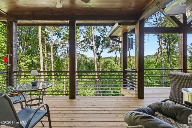 240 Pink Pig Lane, Cherry Log, GA 30522